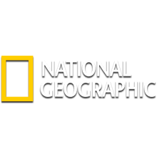  Эмблема телеканала National Geographic