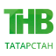 Эмблема телеканала ТНВ