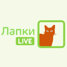 Эмблема телеканала  Лапки Live