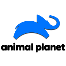 Эмблема телеканала Animal Planet